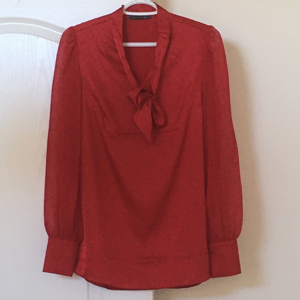 Satin red blouse
